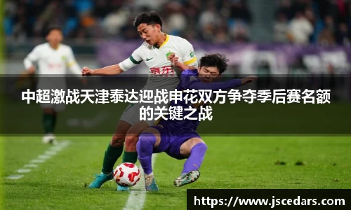 中超激战天津泰达迎战申花双方争夺季后赛名额的关键之战