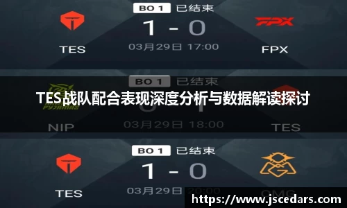 TES战队配合表现深度分析与数据解读探讨