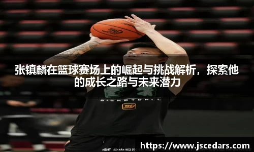 张镇麟在篮球赛场上的崛起与挑战解析，探索他的成长之路与未来潜力