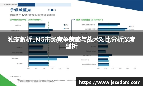独家解析LNG市场竞争策略与战术对比分析深度剖析